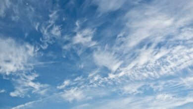 cloud CRM