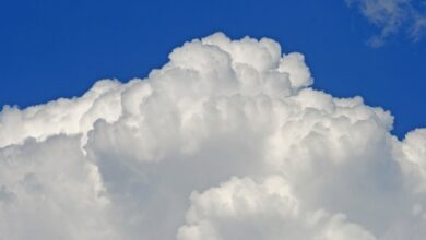 cloud CRM