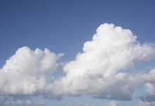 cloud CRM