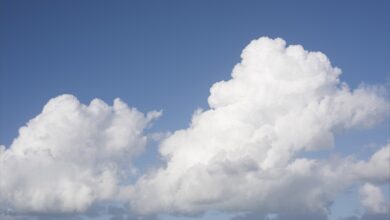 cloud CRM