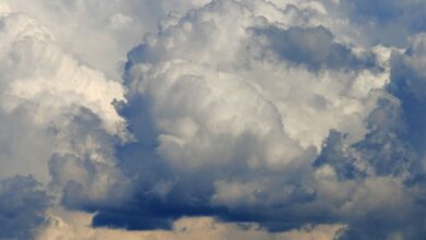 cloud CRM