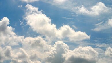 cloud CRM